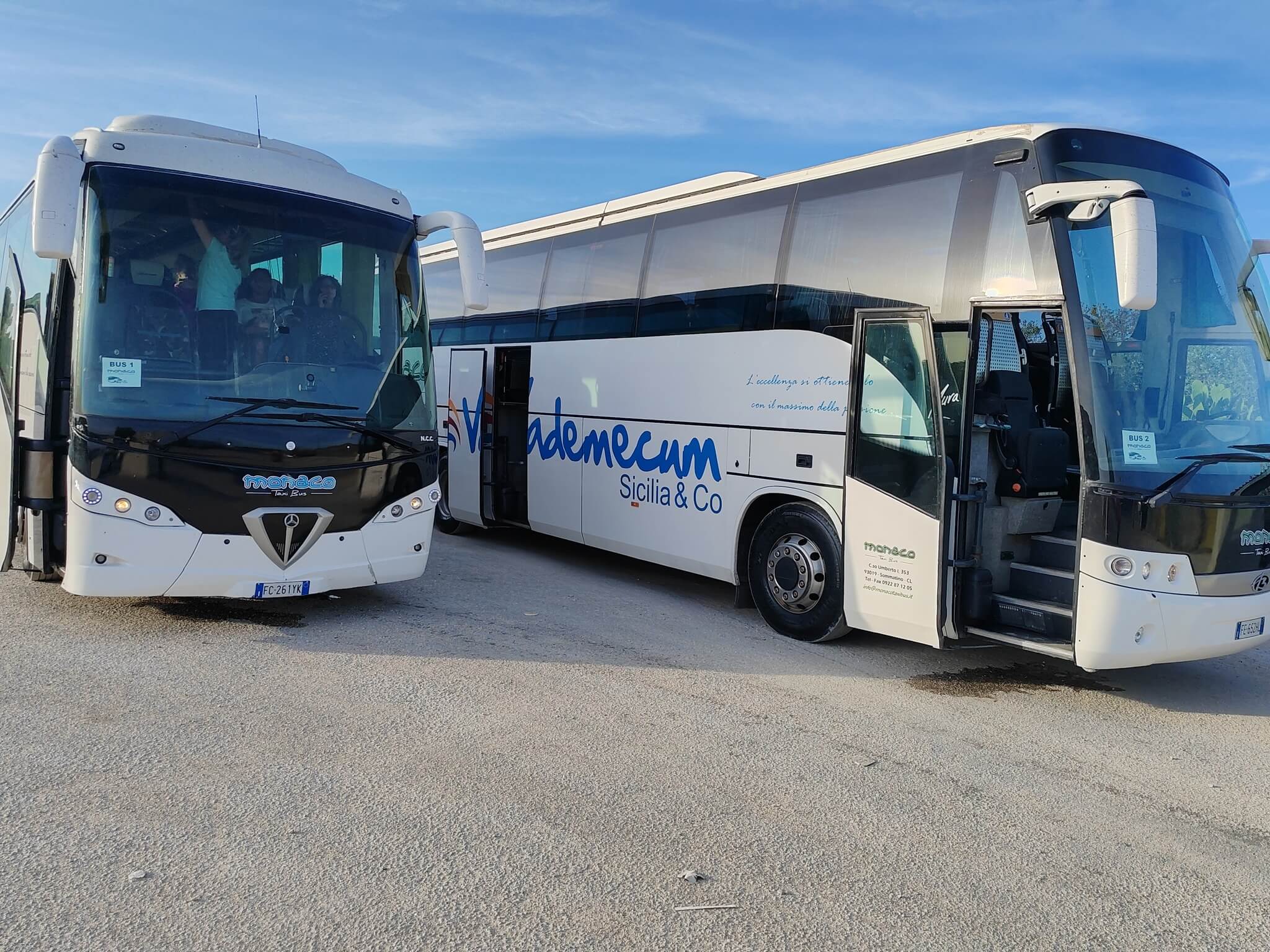 Monaco Taxi-Bus